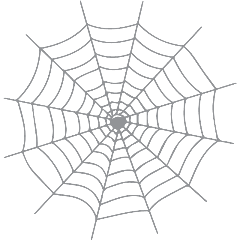 蜘蛛の巣 イラスト透明5