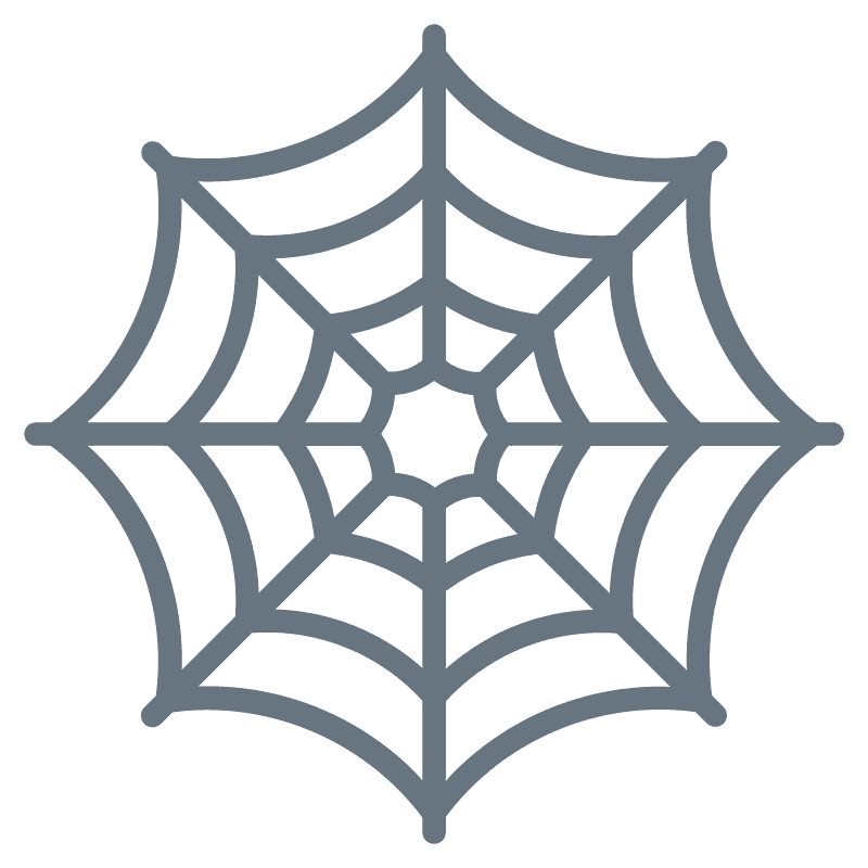 蜘蛛の巣 イラスト透明6