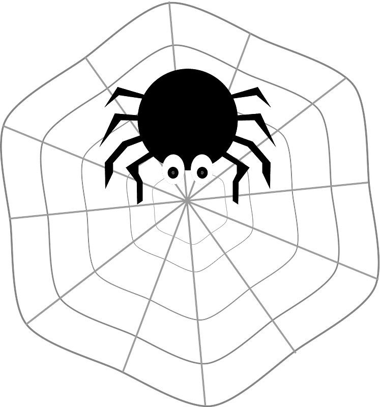 蜘蛛の巣 イラスト透明背景