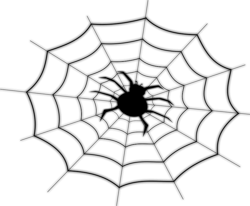 蜘蛛の巣 イラスト透明 イラスト
