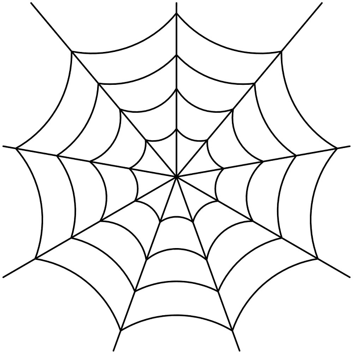 蜘蛛の巣 イラストイメージ