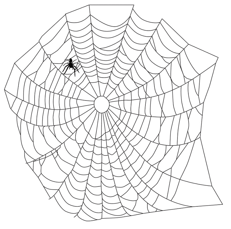 蜘蛛の巣のイラスト 10 イラスト