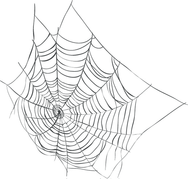 蜘蛛の巣のイラスト 3 イラスト