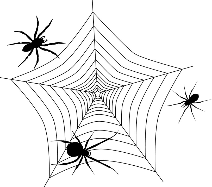 蜘蛛の巣のイラスト 5 イラスト
