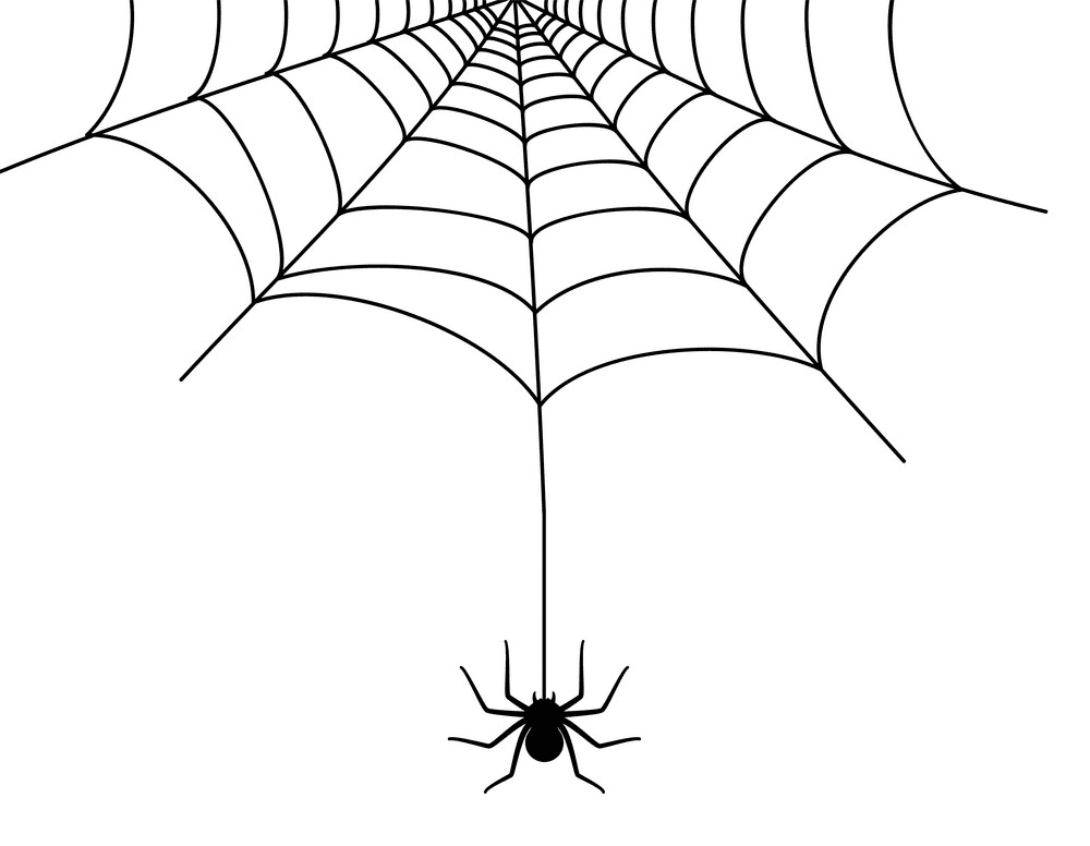 蜘蛛の巣のイラスト 8