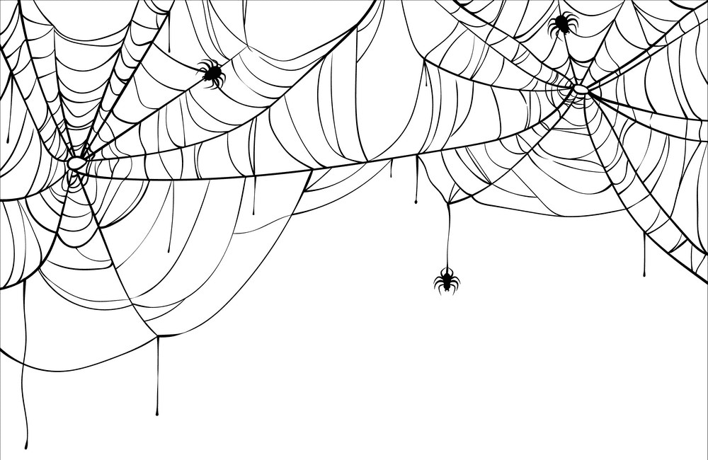 蜘蛛の巣のイラスト png 10