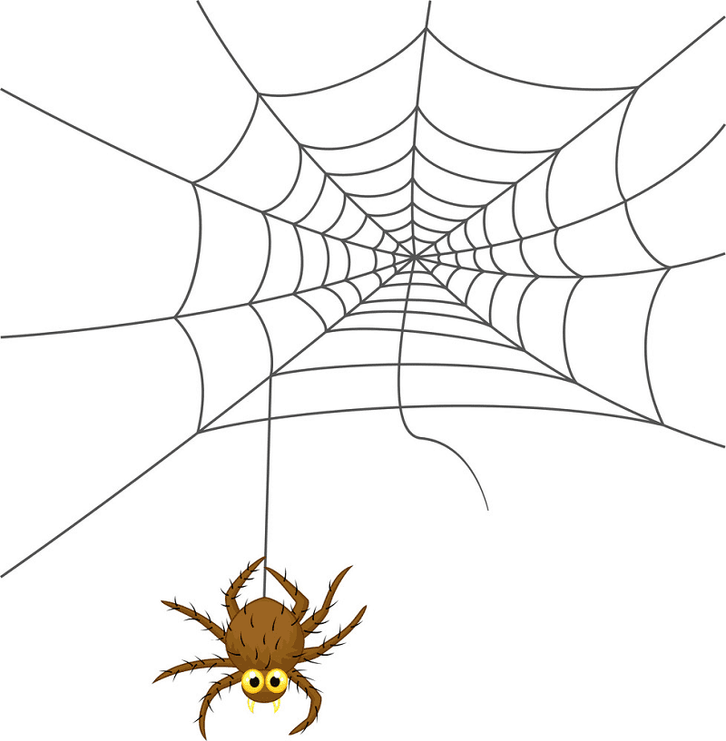 蜘蛛の巣のイラスト png 3