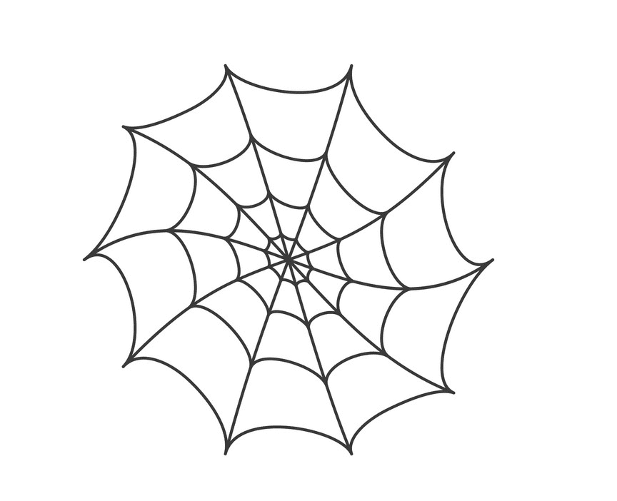 蜘蛛の巣のイラスト png 4