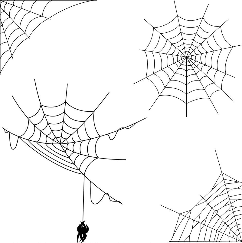 蜘蛛の巣のイラスト png 5 イラスト