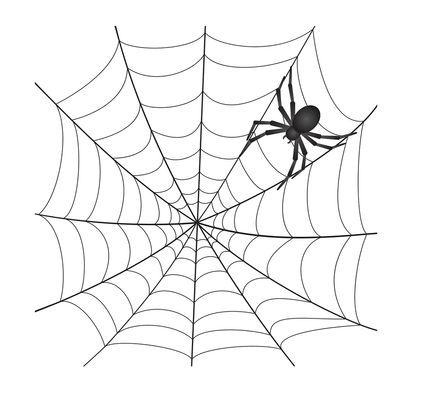 蜘蛛の巣のイラスト png 9 イラスト