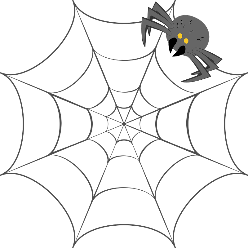 蜘蛛の巣のイラスト透明1 イラスト
