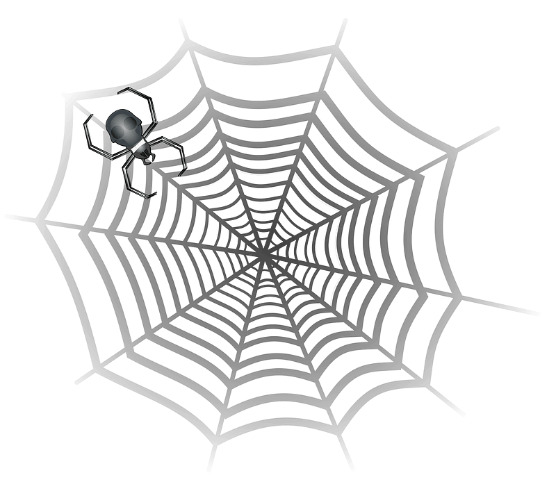 蜘蛛の巣のイラスト透明ダウンロード イラスト