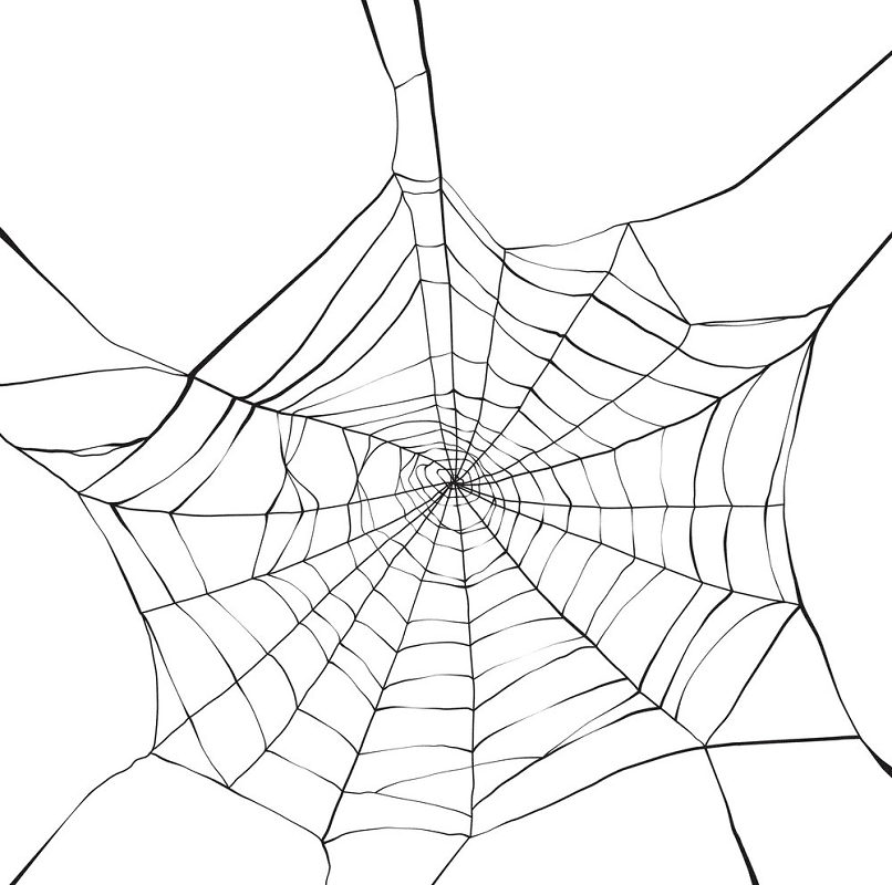 蜘蛛の巣 イラスト