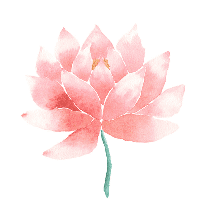 ピンクの蓮のイラスト png イメージ