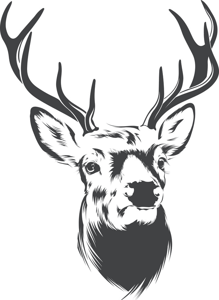 鹿の頭のイラスト無料画像 2 イラスト
