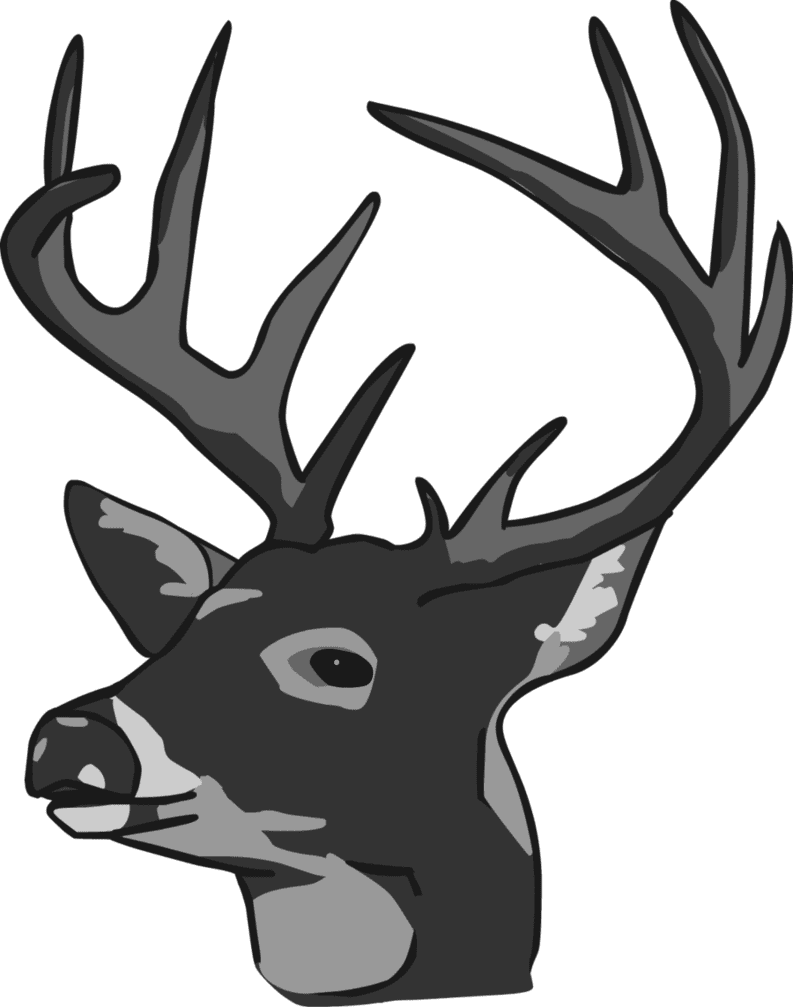 鹿の頭のイラスト 無料画像 イラスト