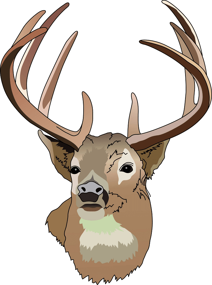 鹿の頭のイラストpng無料 イラスト