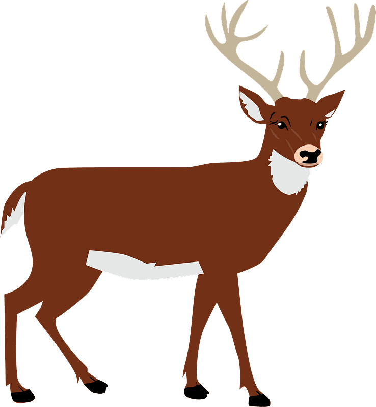 鹿のイラスト 背景透明3 イラスト
