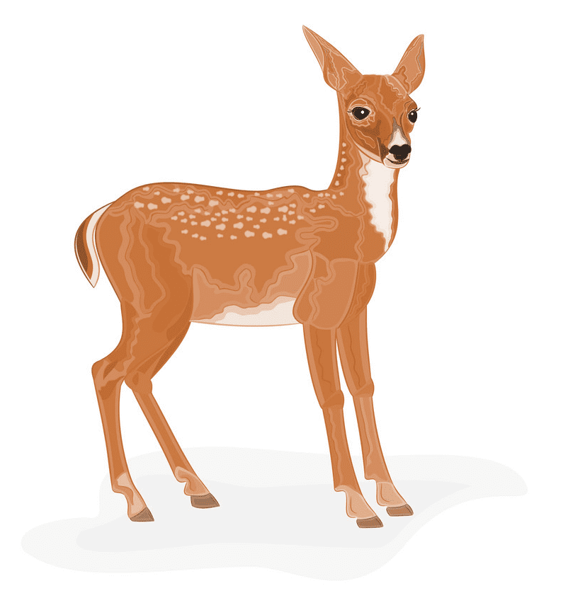 鹿のイラストpng画像 イラスト