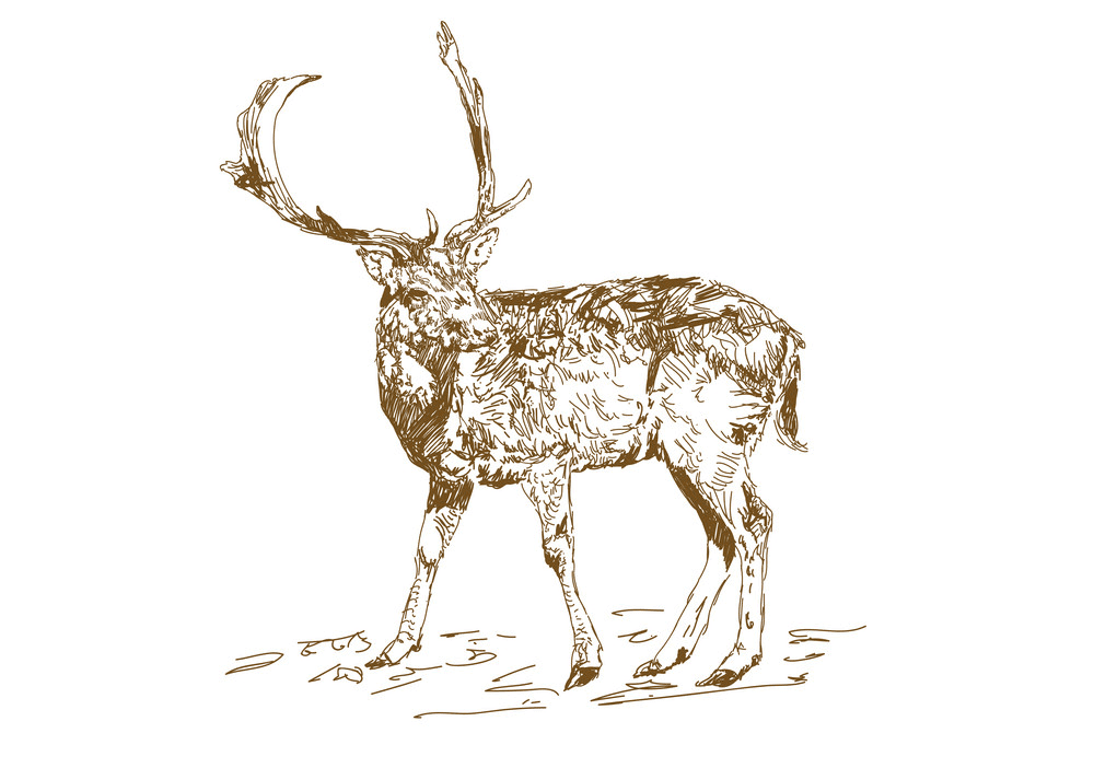 鹿のイラスト PNG イメージ イラスト