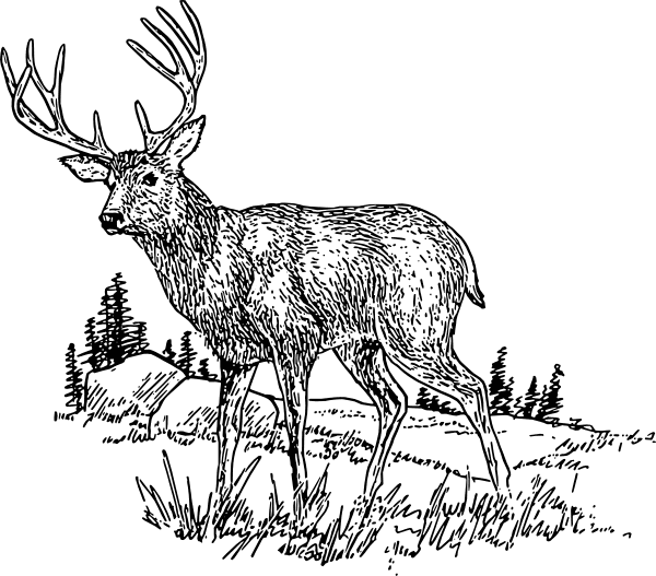 鹿のイラスト 白黒無料画像 イラスト