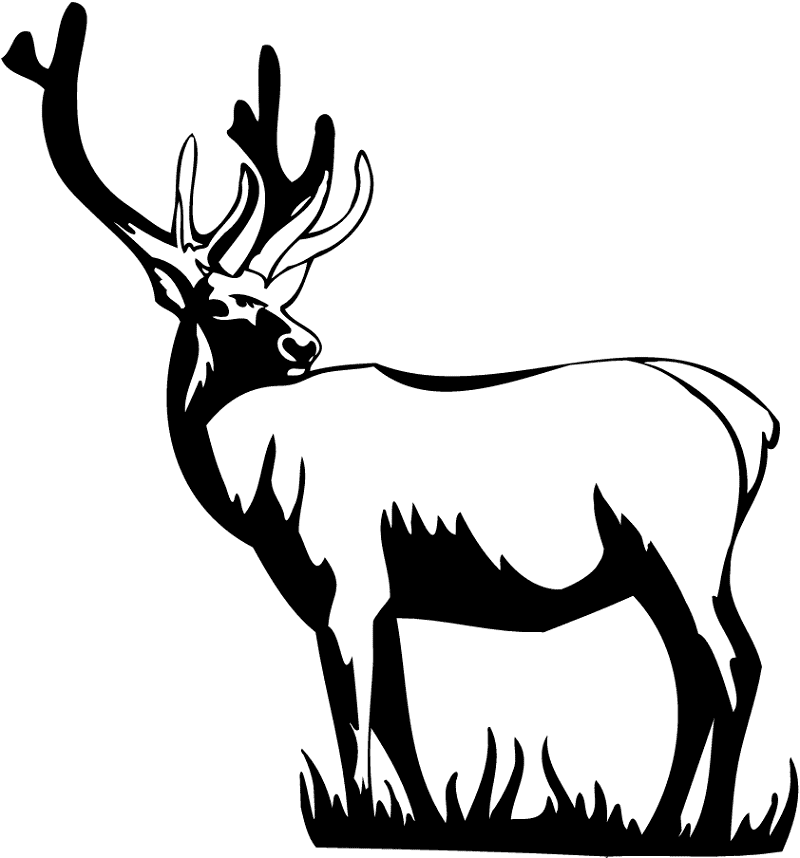 鹿のイラスト白黒を無料でダウンロード イラスト