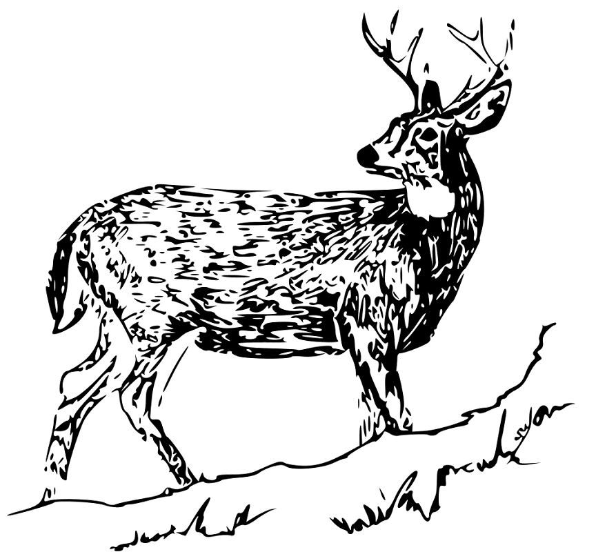 鹿の無料イラスト 白黒 イラスト