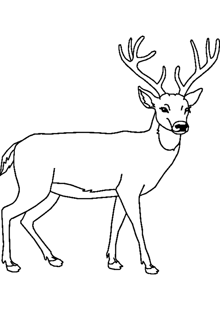 鹿の白黒イラスト イラスト