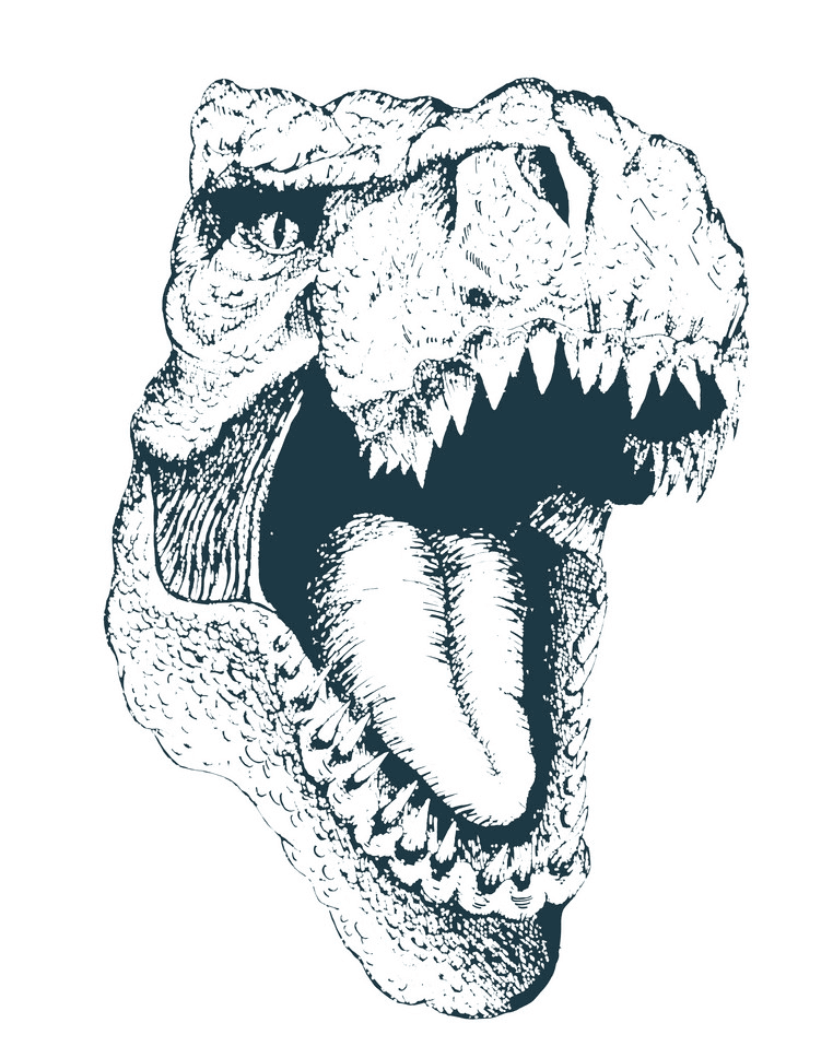ティラノサウルスの頭の図 イラスト