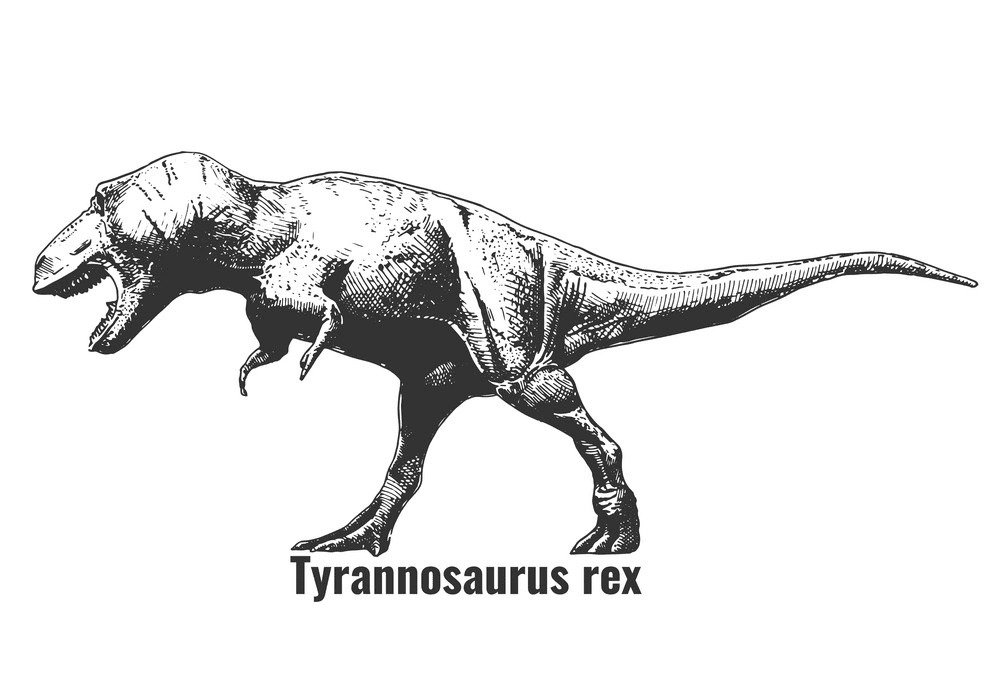 ティラノサウルスのイラスト 7 イラスト