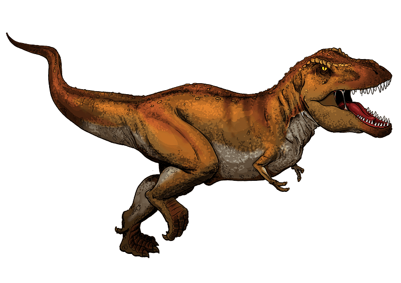 ティラノサウルスのイラスト透明7