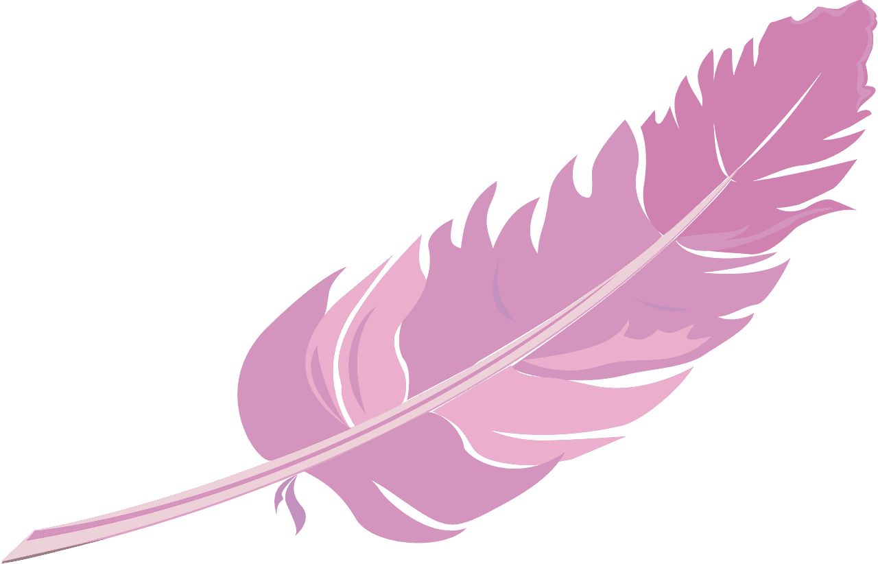 Feather Illustration transparent 7