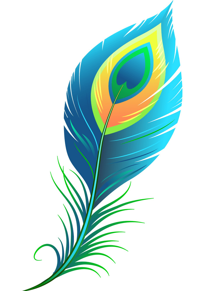 Peacock Feather Illustration png