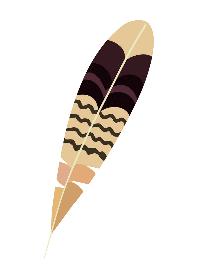 Turkey Feather Illustration png