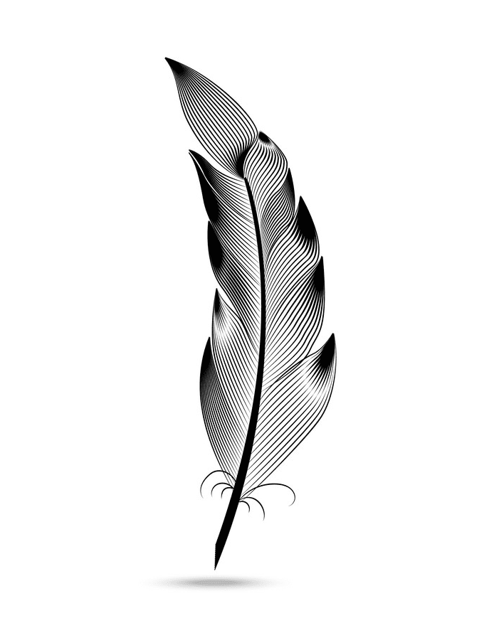 羽のイラスト 白黒