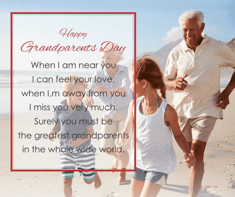 イラスト 祖父母の日のお祝い png 6 イラスト