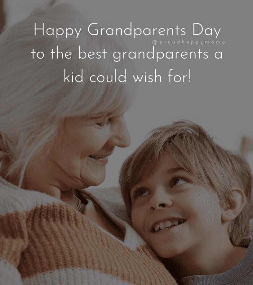 イラスト 祖父母の日おめでとう png 3 イラスト