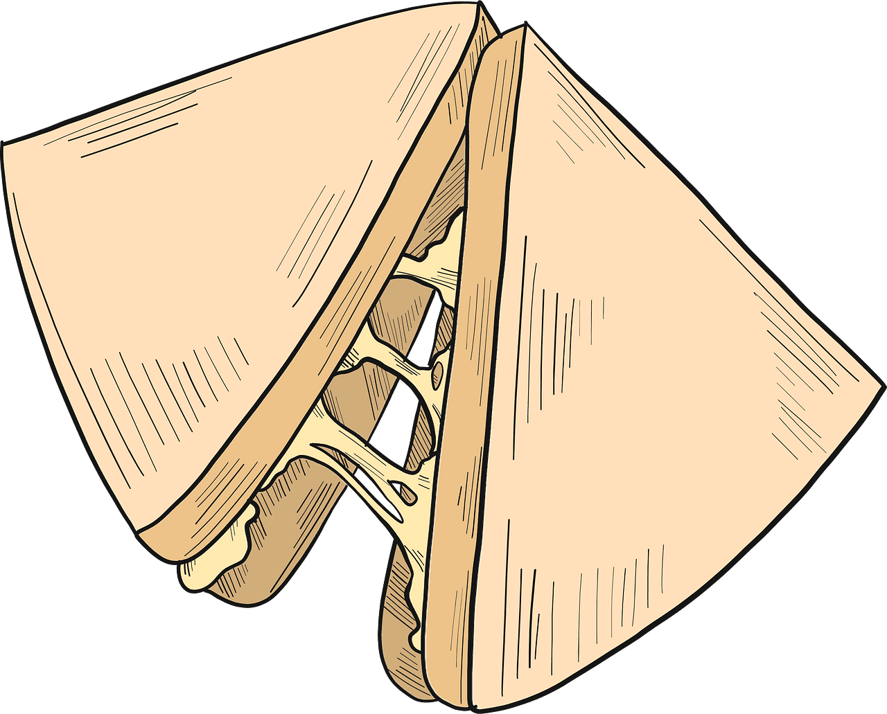 子供向けの透明なサンドイッチのイラスト イラスト