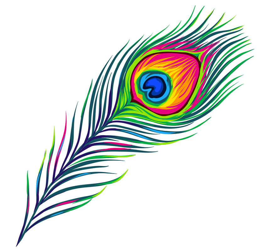 孔雀の羽のイラスト4 イラスト