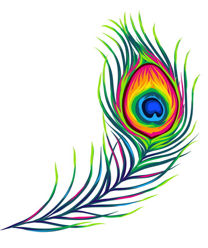 孔雀の羽のイラスト画像