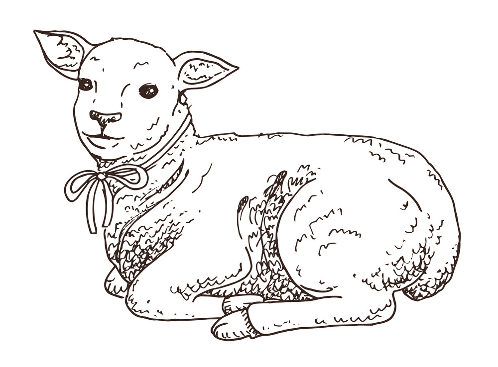 子供向けの子羊のイラスト無料