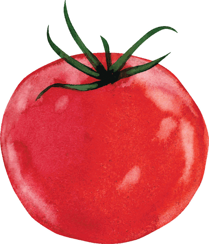 子供向けのトマトのイラストpng イラスト