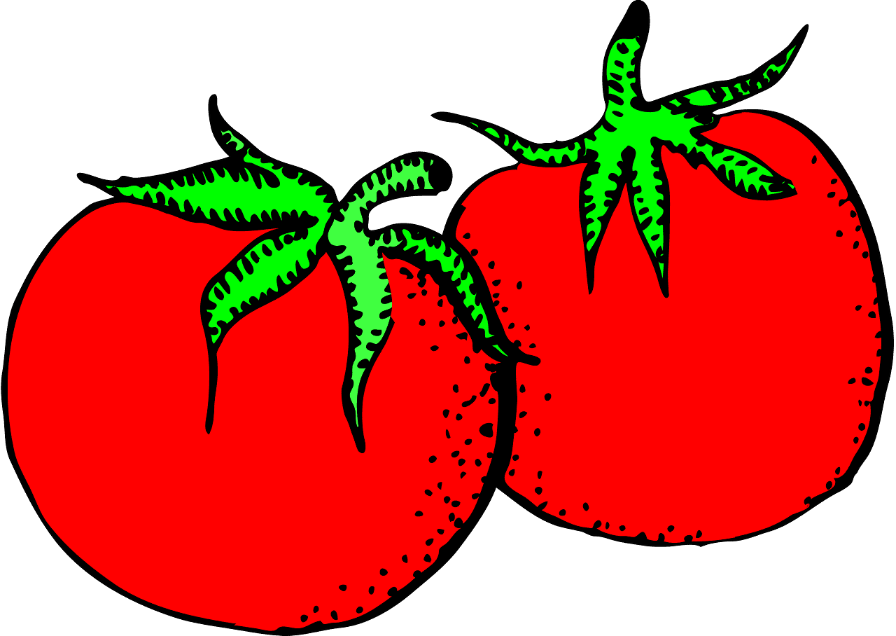 子供用に透明なトマトのイラスト イラスト