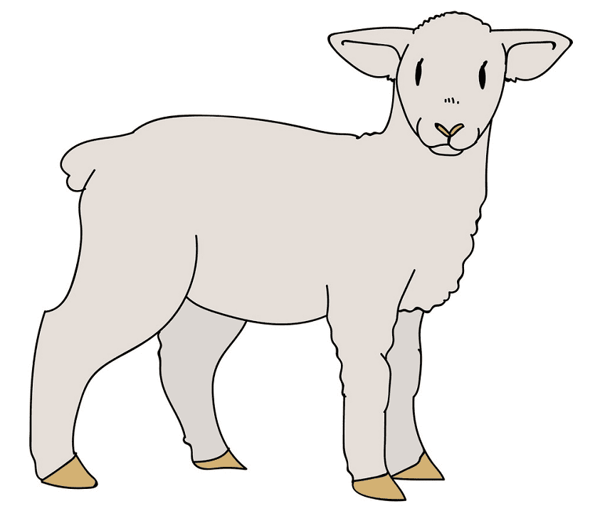子羊のイラスト画像 イラスト