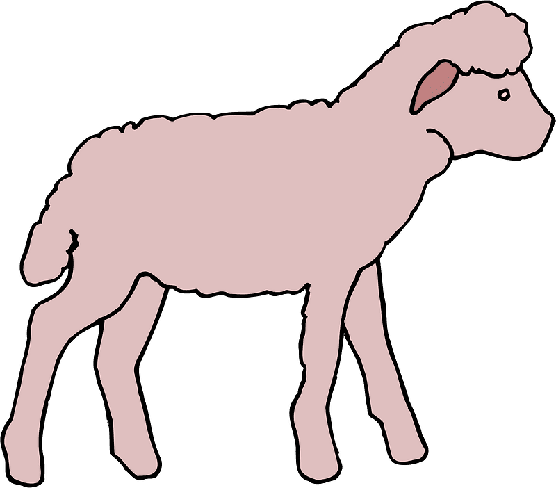 子羊のイラスト 背景透明5 イラスト