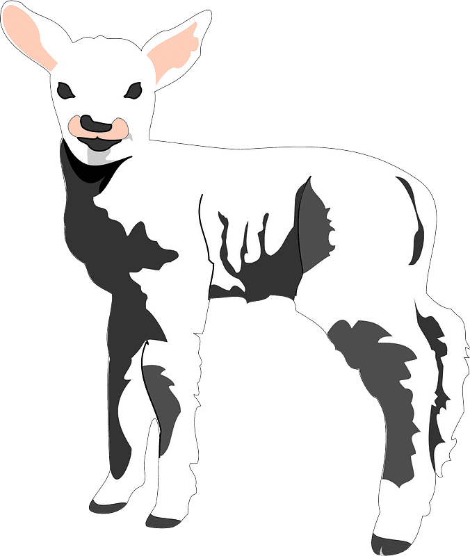 子羊のイラスト 背景透明8
