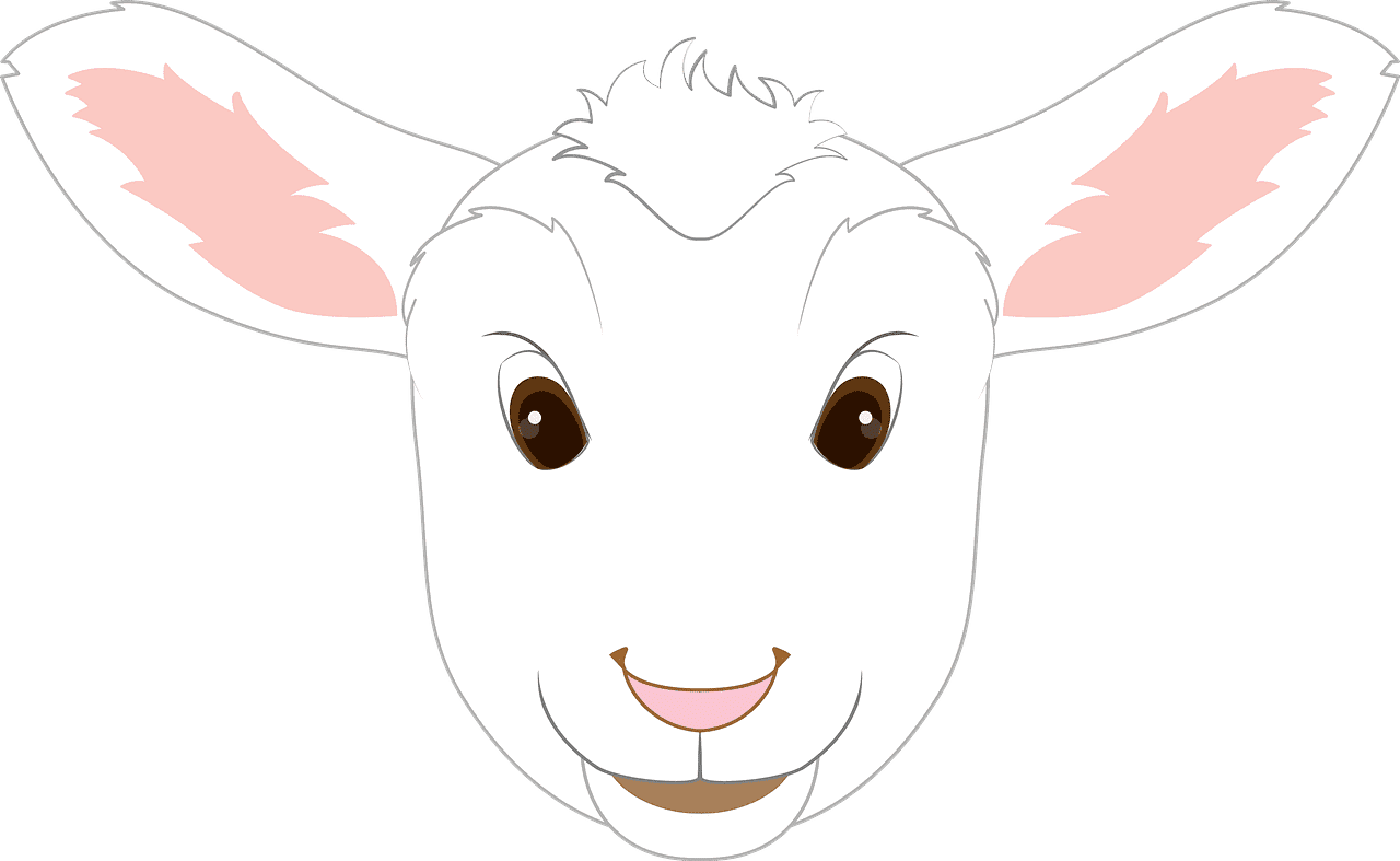 子羊の顔イラスト透明