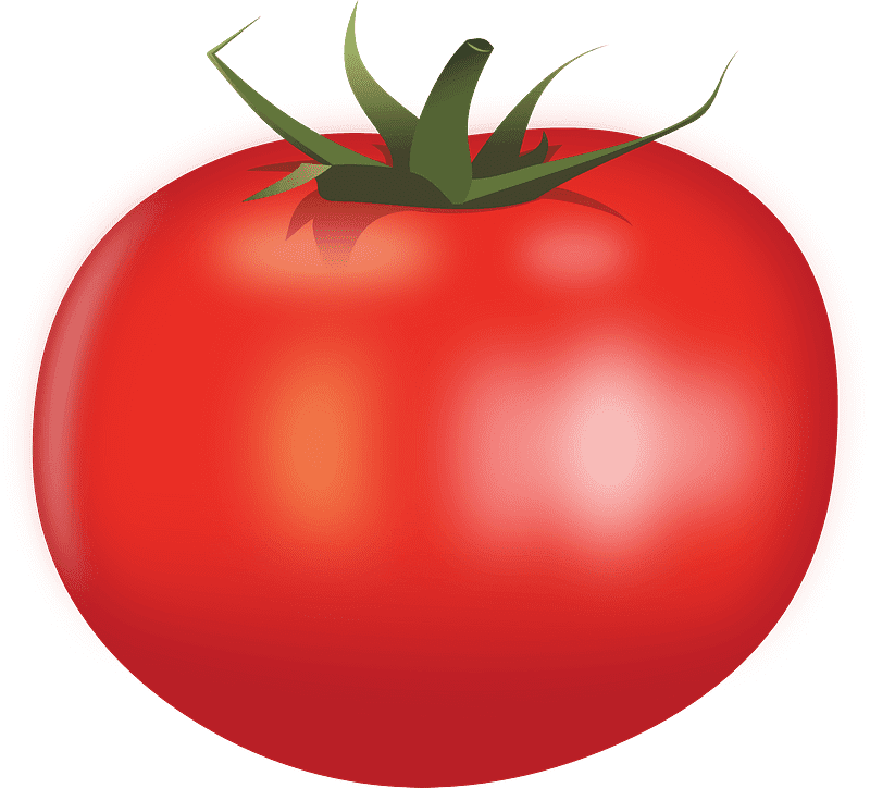 トマトのイラスト 背景透明2 イラスト