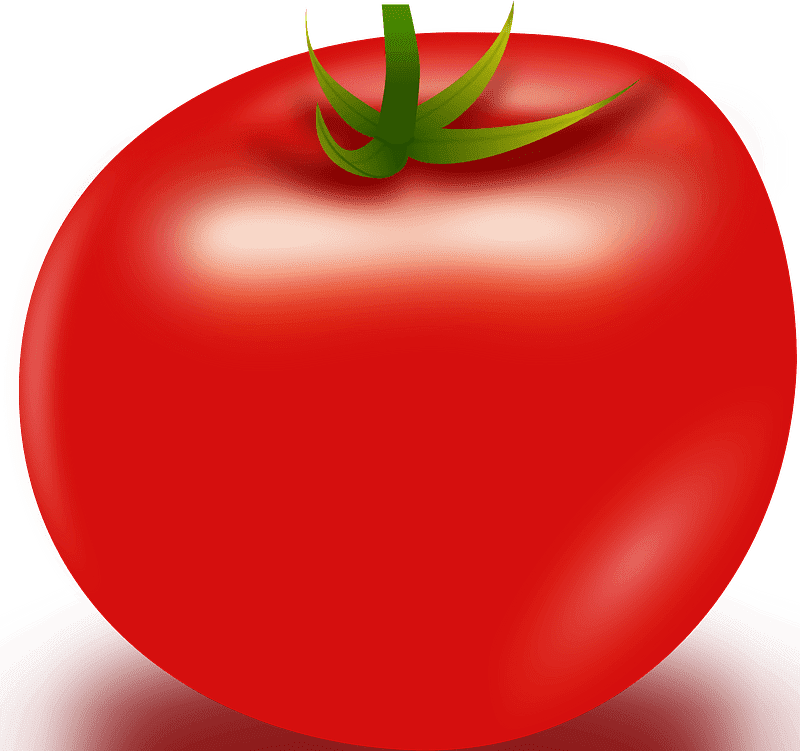 トマトのイラスト 背景透明4 イラスト