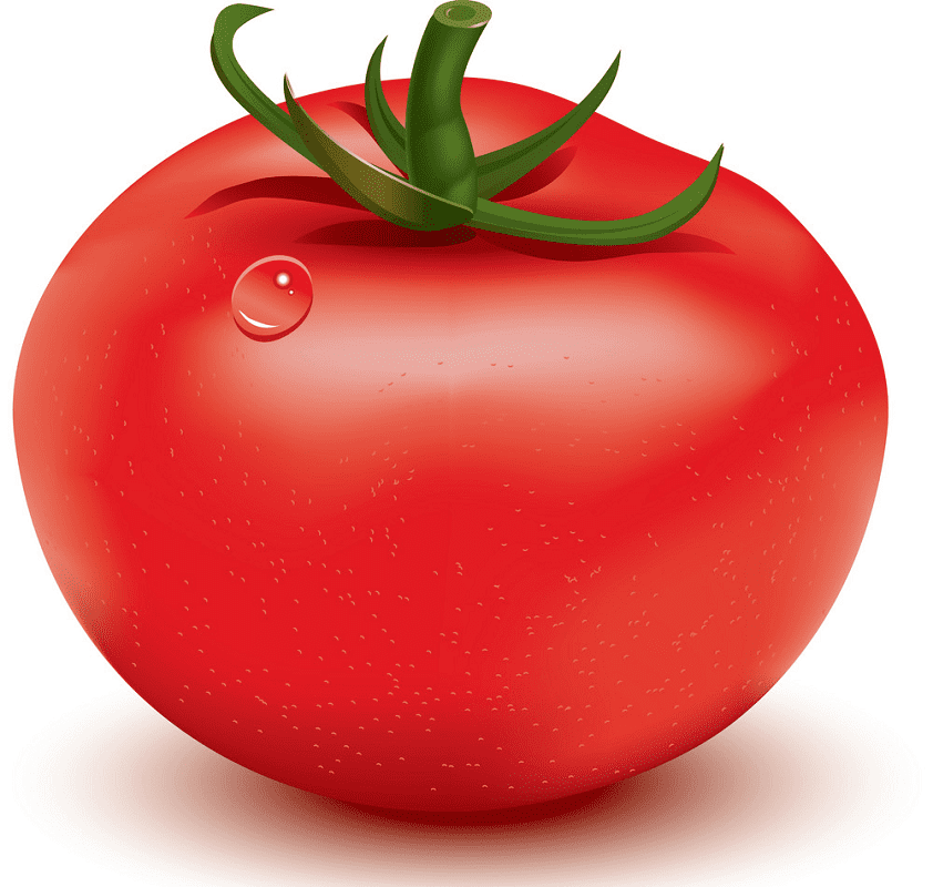 トマトのイラスト 無料 イラスト